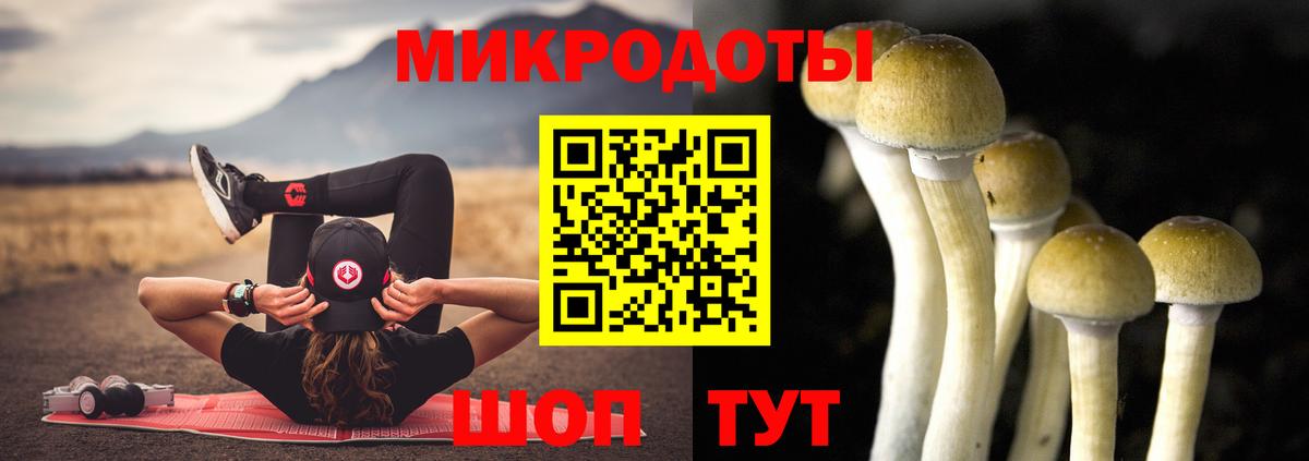 Псилоцибиновые грибы мицелий  Вход с VPN  Кулебаки 