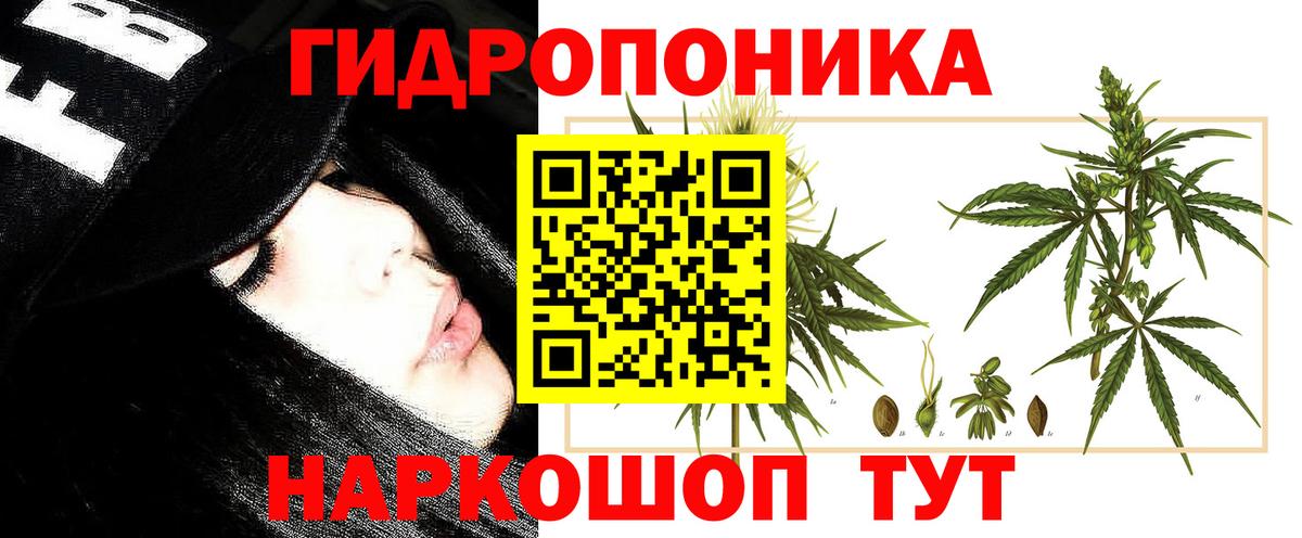 Кулебаки  Канабис OG Kush  Каннабис тримм  Вход с VPN 